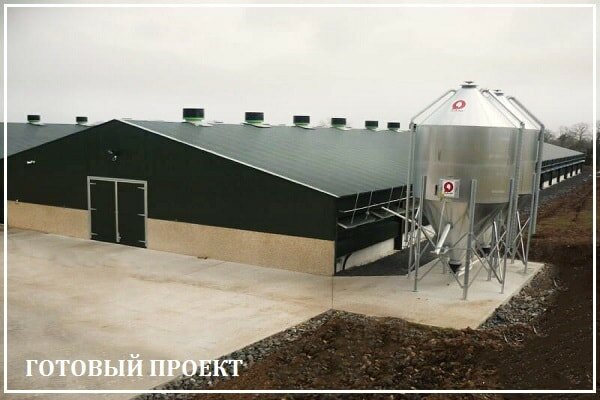 Этапы возведения птицефабрики от завода ВелесТент-ндм